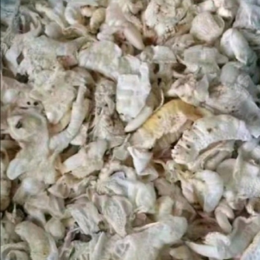 鸡杂 红毛蛋鸡鸡爪皮