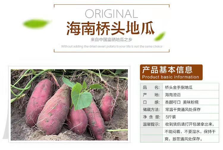 正品海南澄迈桥头富硒地瓜新鲜现挖原产地农家沙地自种一件代发