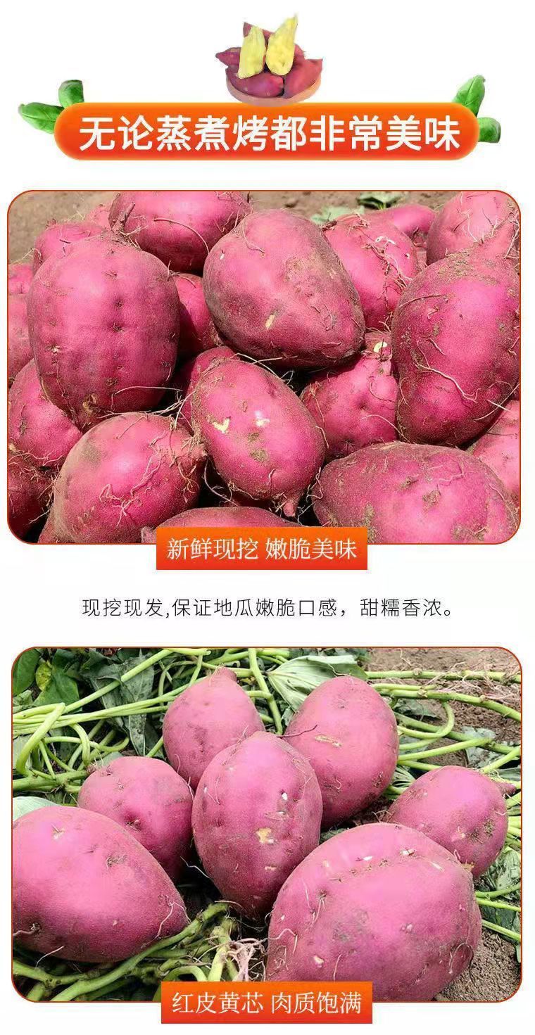 正品海南澄迈桥头富硒地瓜新鲜现挖原产地农家沙地自种一件代发