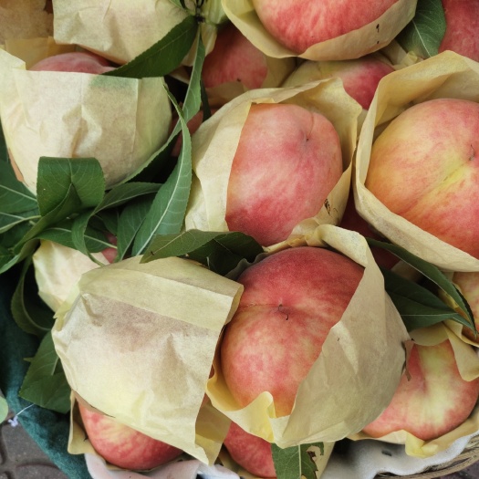 成都 龙泉水蜜桃