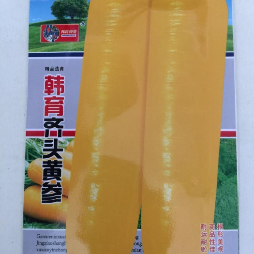 沭阳县 黄胡萝卜种子 黄色胡萝卜种子精选齐头黄种子西洋黄参种子包邮