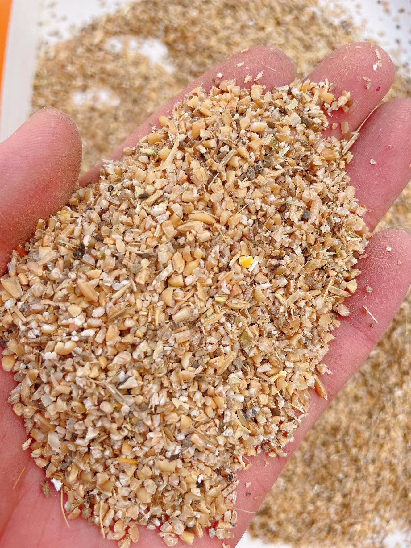 碎麦 碎小麦    小麦漏  小麦碎  小麦下脚料