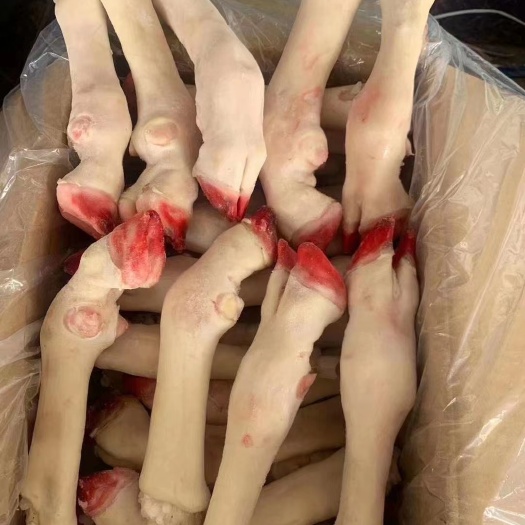 绵羊 羊蹄