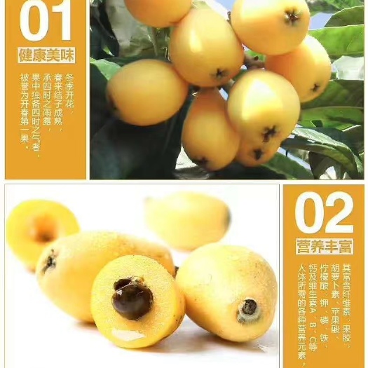 温岭市白沙枇杷上市了，自家种，天然，没有打药，水分足 ，清甜可