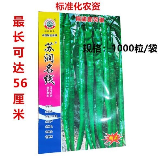 兰陵县 线椒种子