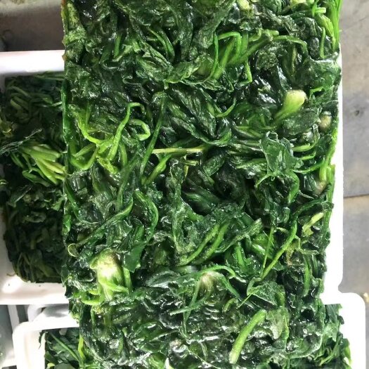 青岛荠菜块