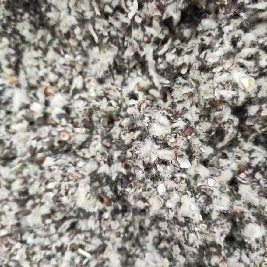 石河子市新疆棉籽壳，长期发货，包邮到家