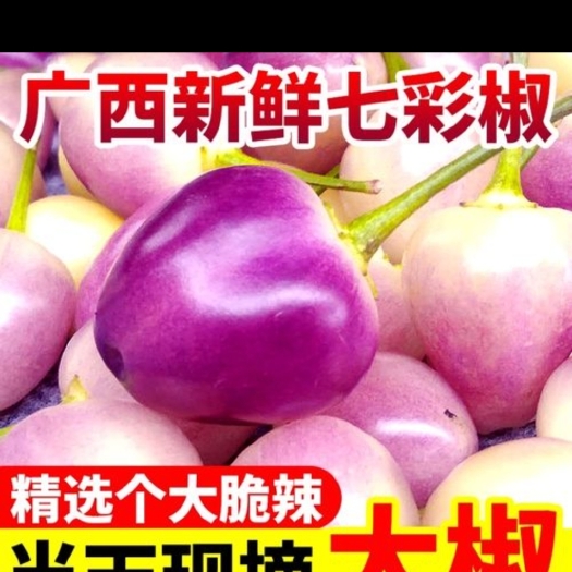 容县广西特产五彩椒，配饭，配粉，超级好吃。微辣，看上私聊