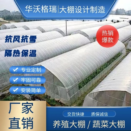 天津瓜果大棚   大棚批发 厂家直销质量有保证