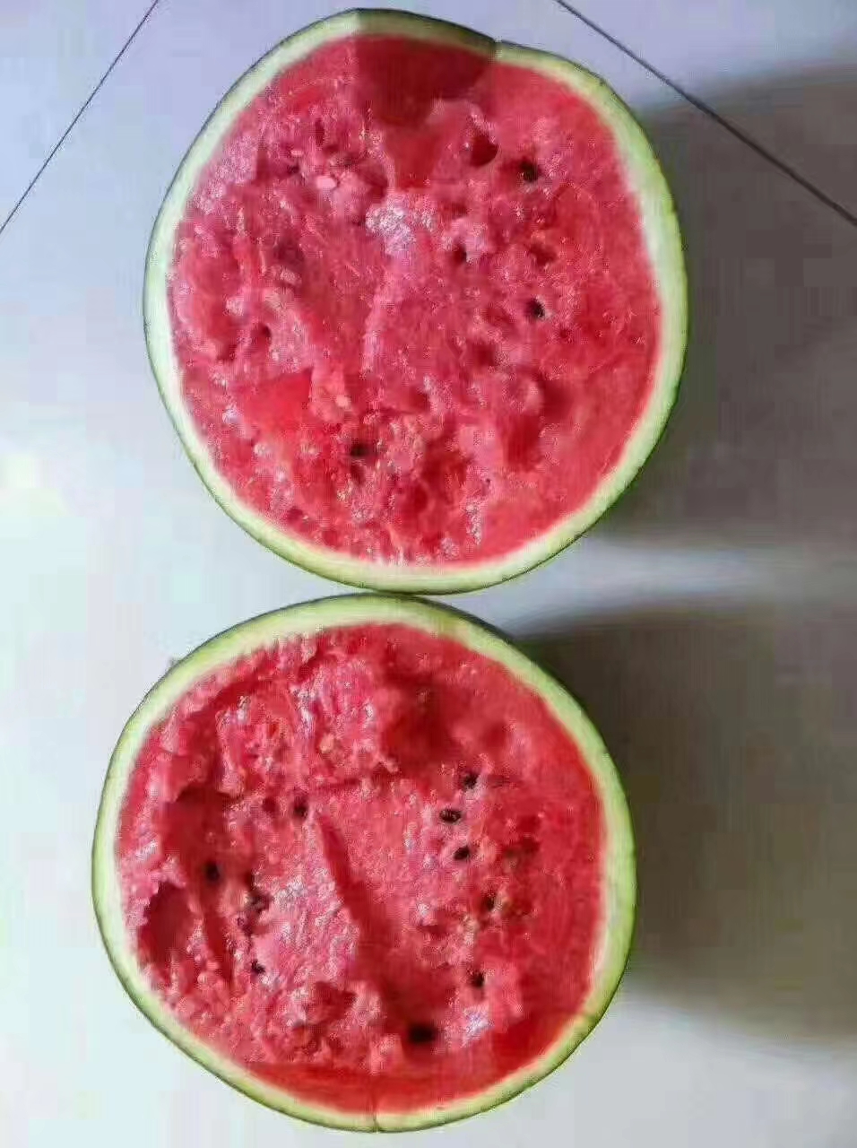 费县费县精品甜王西瓜  个大 皮薄 甜度高 商品性能高