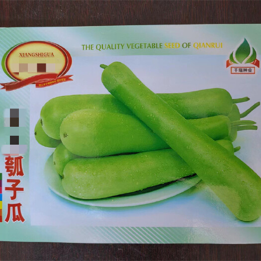 早熟长瓠瓜种子春秋季瓠子瓜种子蒲瓜菜葫芦籽庭院爬藤菜种子