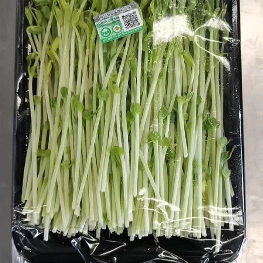 德阳豌豆芽