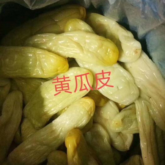 生黄瓜，广西黄瓜皮