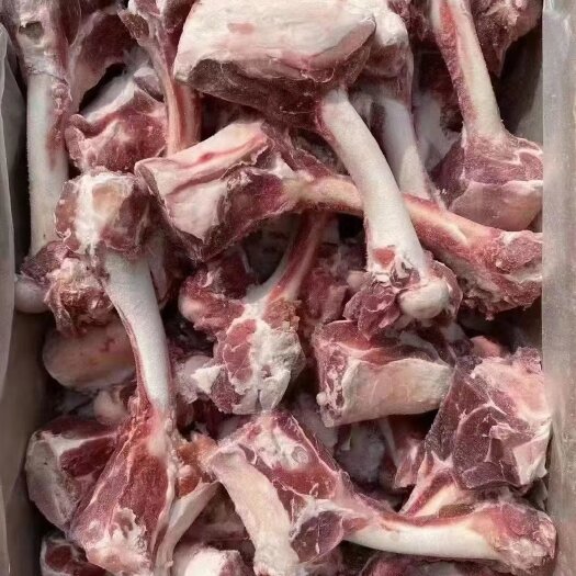 河间市羊骨 羔羊后腿棒骨