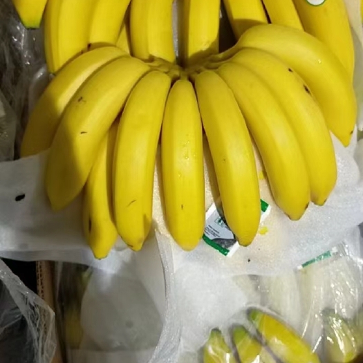 上海主营菲律宾越南柬埔寨南美等香蕉