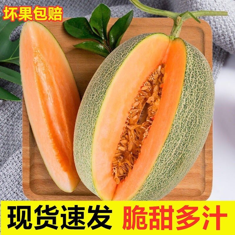 潍坊西州蜜甜瓜哈密瓜电商供应链一件代发
