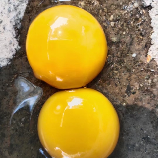 钦州正宗杂粮小土蛋