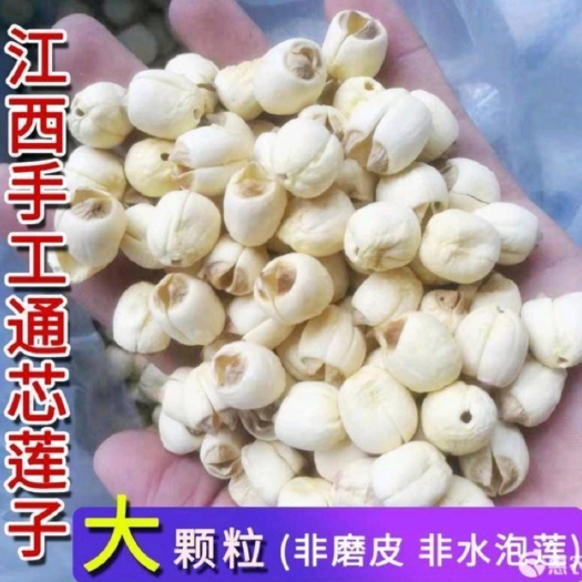南丰县莲子 广昌白莲 通心莲 农家手工莲子 个头饱满均匀