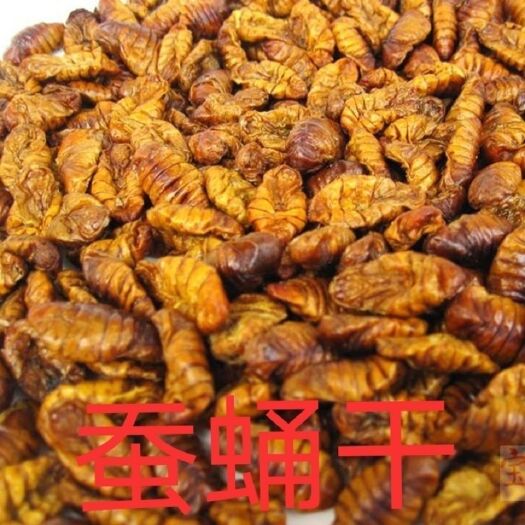 蚕蛹干