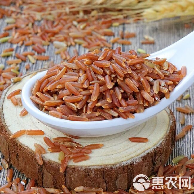 红米  现货批发红米 红糙米五谷杂粮红大米红 稻米袋装50斤