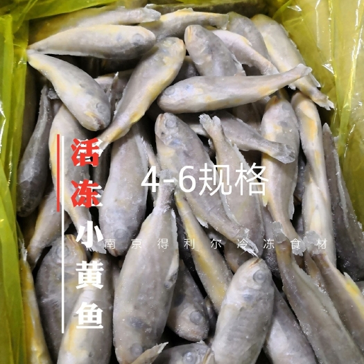 武汉小黄鱼7.5公斤整件批发烧烤夜宵食材网红夜猫子黄鱼