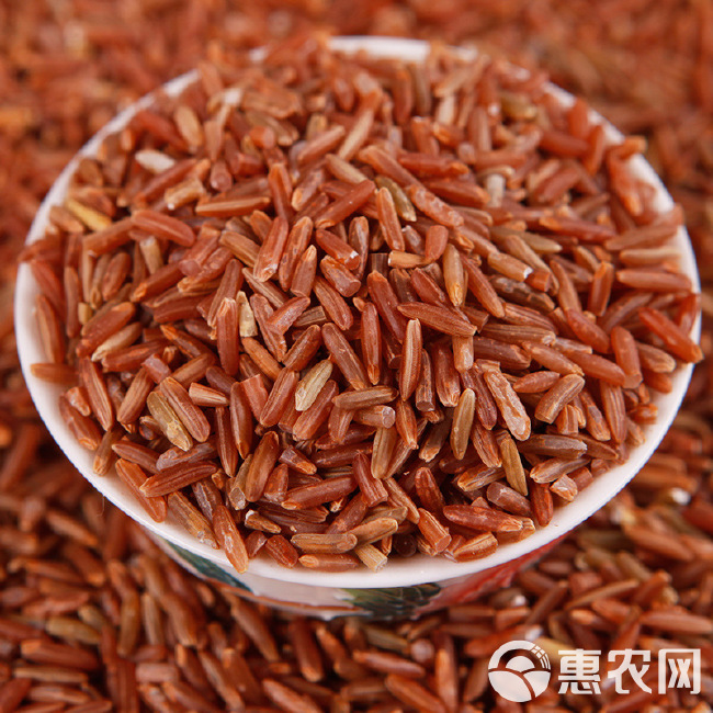 红米  现货批发红米 红糙米五谷杂粮红大米红 稻米袋装50斤
