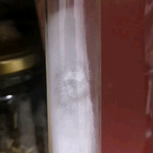 砀山县大球盖菇菌种  大球盖菇一级试管种，高产优质种菇分离，提纯脱