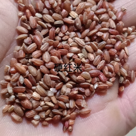 孟连县红米，地谷红米，米粉米线，熬粥
