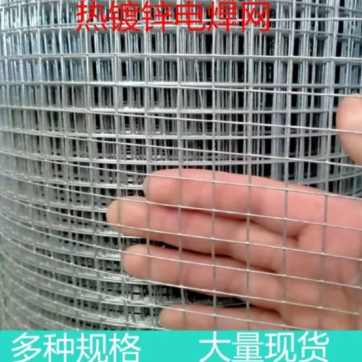 安平县热镀锌电焊网铁丝网围栏养殖网小孔防鼠网网格网