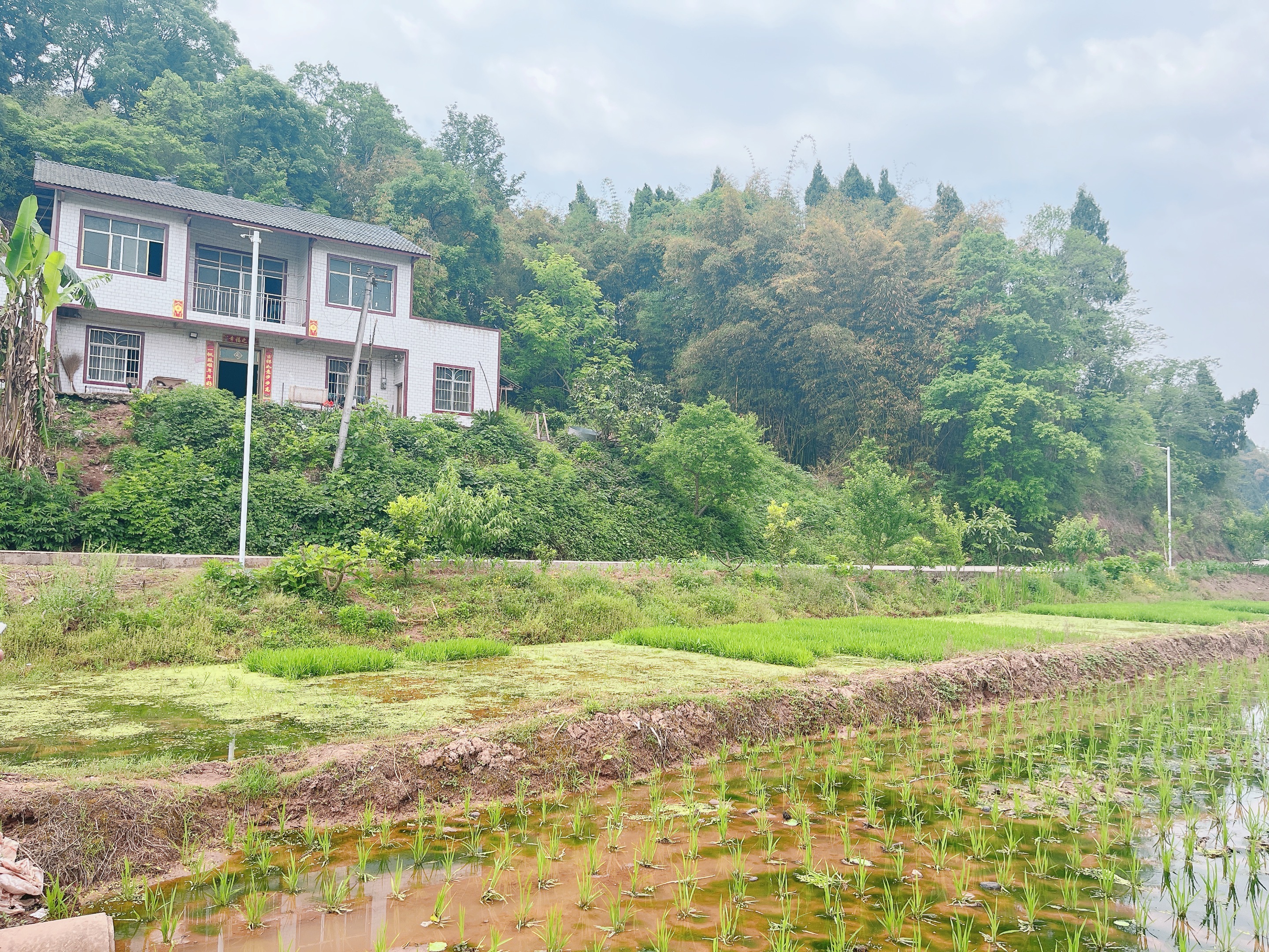 重庆市荣昌区300亩基本农田，水源丰富，交通便利