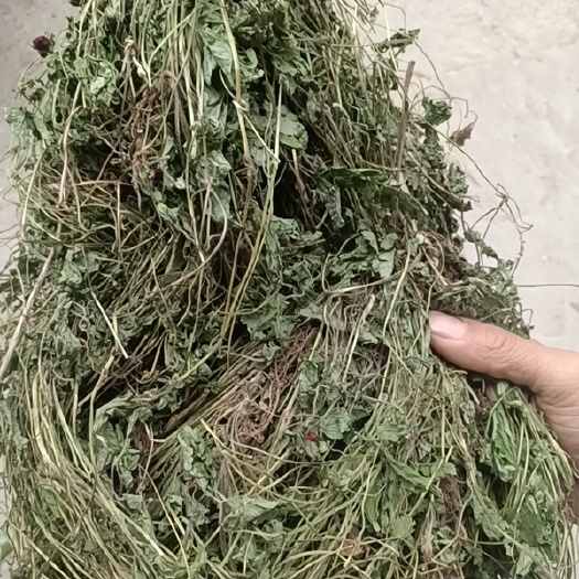 望谟县积雪草，马蹄草，铜钱草。