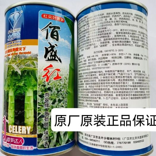 沭阳县佰盛美红尖叶香笋种子抗病高产口感好高产耐寒莴笋种子蔬菜四季种