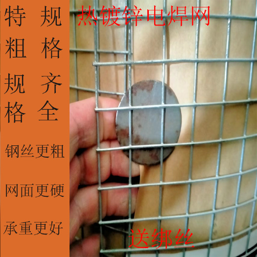安平县防锈镀锌铁丝网电焊网家禽养殖网钢丝网各种菜园围栏网
