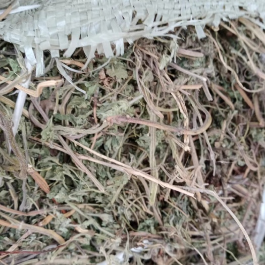 原阳县急售夏枯草干货