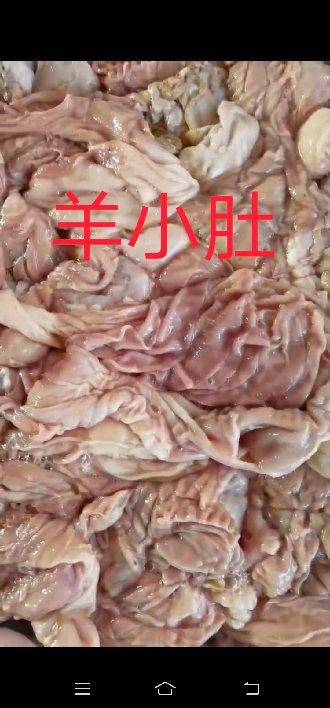 锡林浩特【羊水肚】绵羊的也叫伞带！生的水洗！干净！全国发货！
