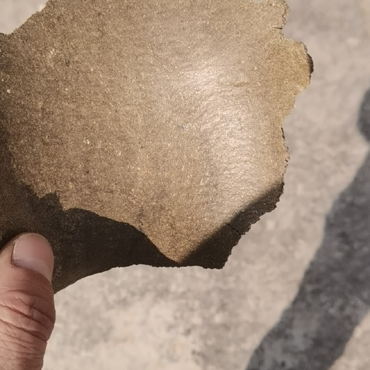 朔州加工及销售菜籽饼，质量优良，品质保证，一手货源
