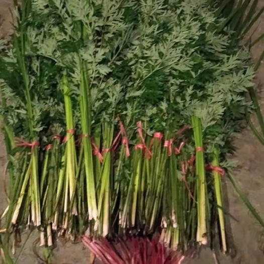 峨边县艾草 端午艾草+菖蒲 分好包装好