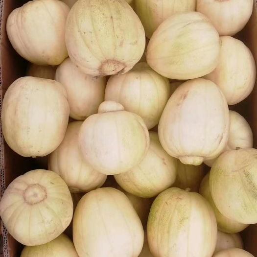 忻州香如蜜甜瓜