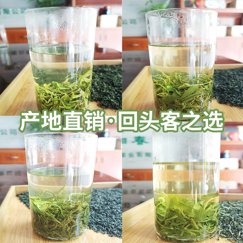 2024年产地直供新茶安吉香茶白茶香茶 绿茶茶叶散装