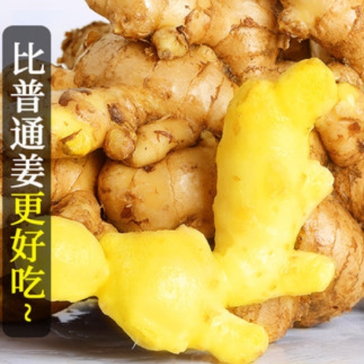 泸溪县常年供应优质生姜种子 黄姜 生姜 小黄姜 姜种 做到诚信经营