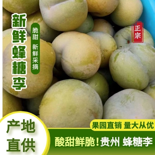 镇宁县六马蜂糖李。