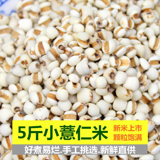 【产地】新货小薏仁米 贵州特产苡米仁小薏米包邮整箱薏米
