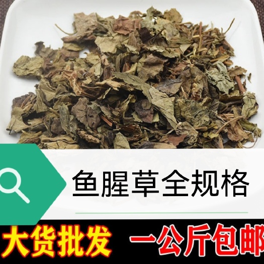 亳州包邮药用鱼腥草批发优质鱼腥草 散装无硫无杂质中药材鱼腥草