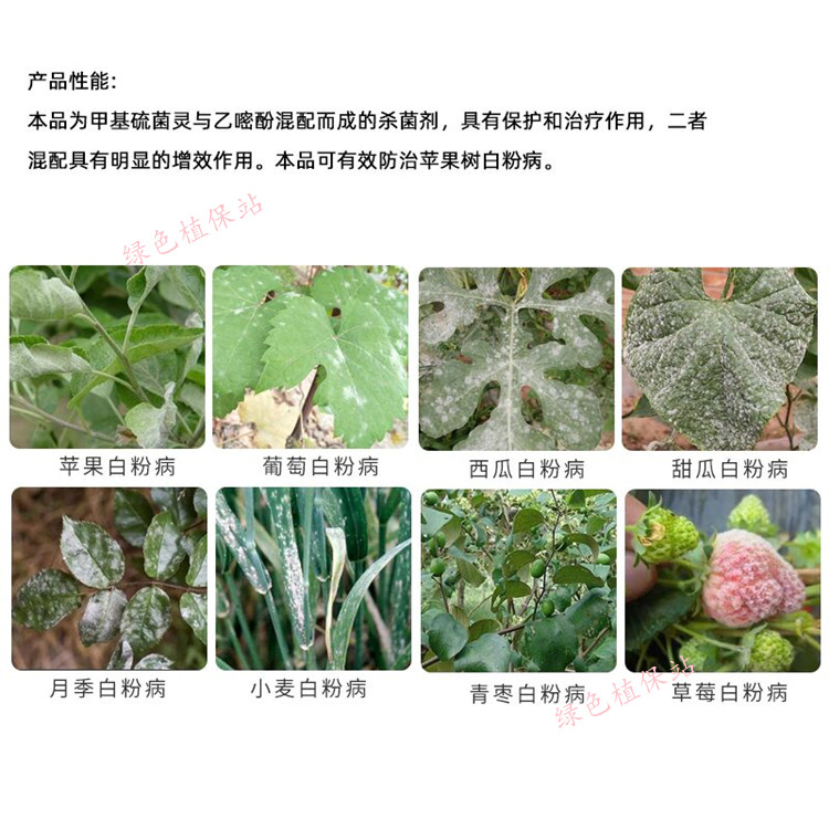 洗白70%甲硫乙嘧酚 苹果白粉病黄瓜甜瓜白粉病果树蔬菜杀菌剂