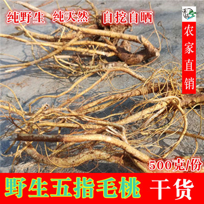 从江县五指毛桃根天然椰香煲汤材料新鲜干货晒干中药材
产地直销