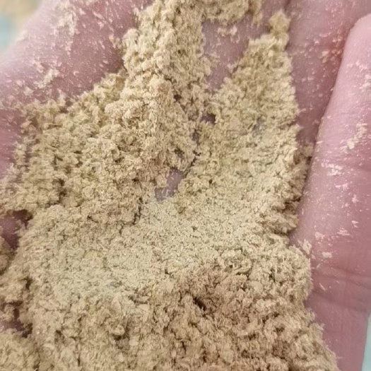 石家庄小米油糠蛋白14脂肪13  厂家直销