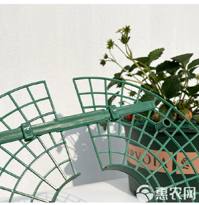 园林植物支架 草莓支撑架 草莓架  厂家批发  支持电商供货