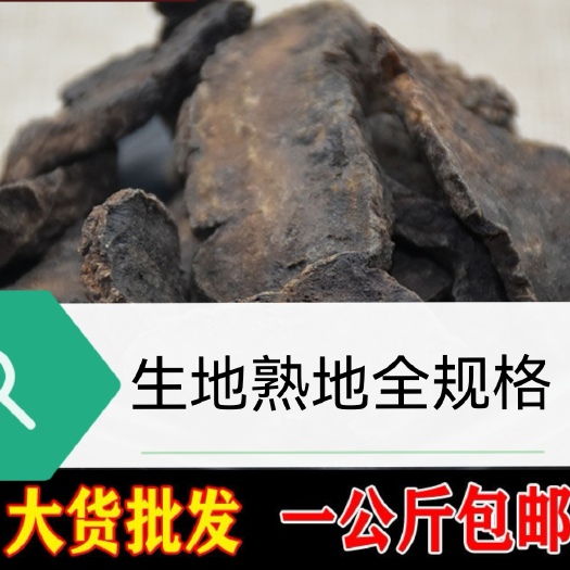亳州包邮 地黄 生地黄 河南产 批发 规格齐一站式购全
