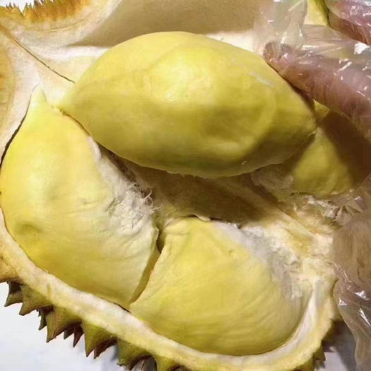 昆明泰国新鲜金枕榴莲2-32斤包邮包售后服务
