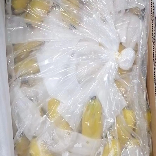 上海菲律宾A456，A789，越南9公斤，现货比较充足，支持上海